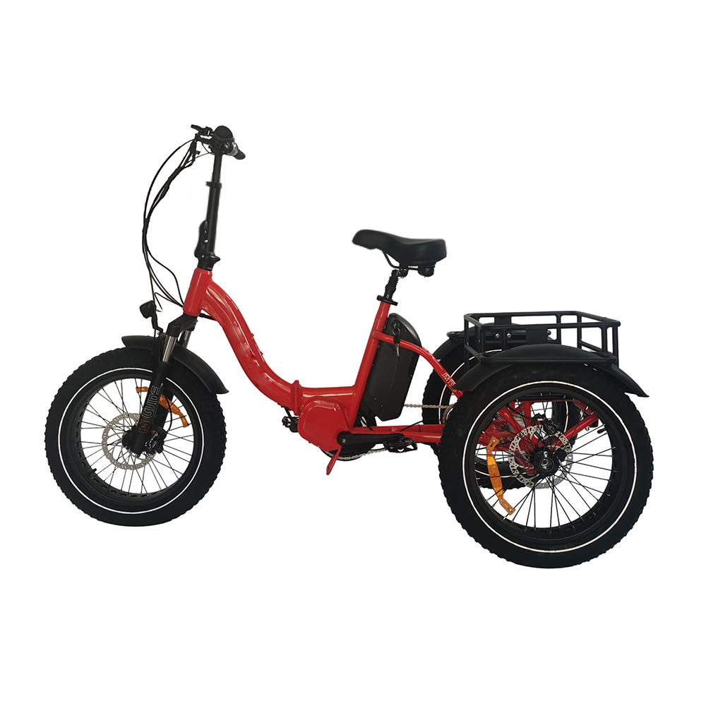 Comparison between electric bicycle and electric powered mountain bike - what is